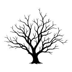 Obraz premium Single leafless tree with bare branches