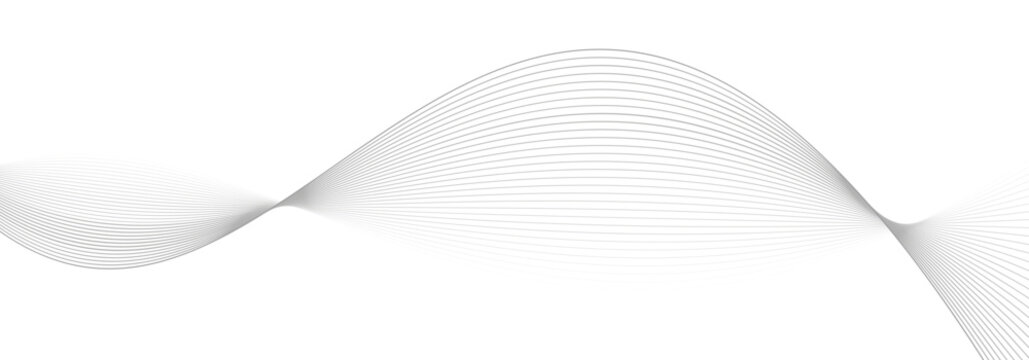 Abstract lines modern background, minimalist gray wave lines