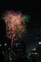 Naklejka premium Vivid fireworks bursting over the city skyline and residential buildings at the Sumida River Fireworks Festival in Tokyo, Japan.