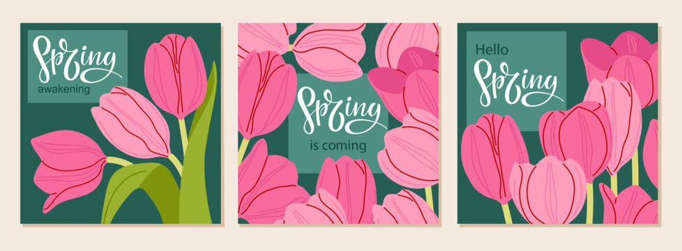 Spring greeting card with pink tulips. Spring is coming handwritten lettering with floral decoration. Freehand drawn vector illustration in flat style for spring celebration invitation, banner, card.