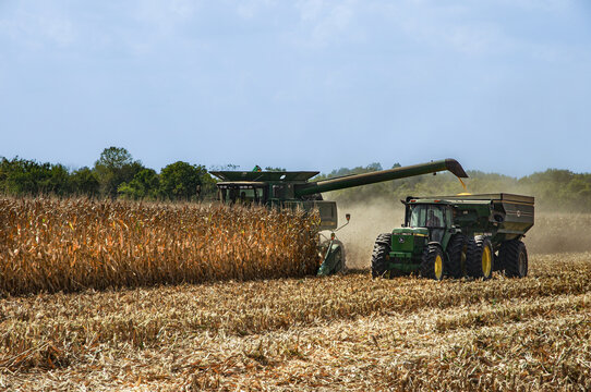 Shiloh, IL&mdash;Sept 23, 2017; Combine harvests corn while unloading grain into a tractor and cart during fall harvest operations