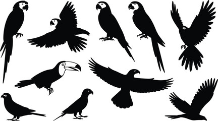 Tropical bird silhouettes collection, parrot macaw and toucan vector set, exotic jungle birds flying and perching icons isolated, wildlife nature. © Shain