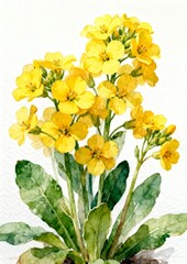 Watercolor Painting of Yellow Wildflowers