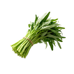 [Transparent Background PNG]Fresh green water spinach with long stems and vibrant leaves