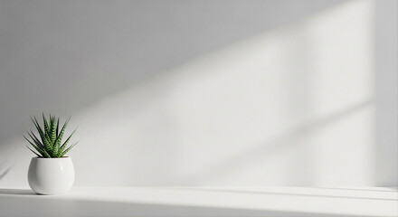 white wall with light