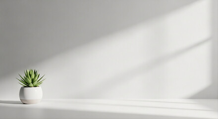 white wall with light