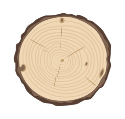 Fototapeta premium Cartoon wood lumber saw cut. Tree trunk round piece, lumber wooden industry material flat vector illustration. Trunk cut isolated on white background