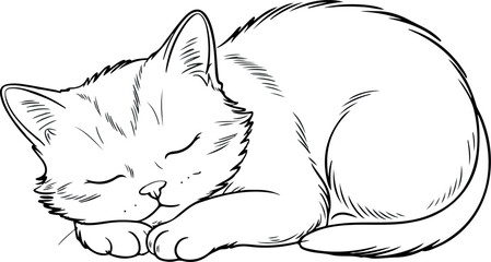 Sleeping Cat Vector Curled-Up Kitten Line Art © Rafad_Studio