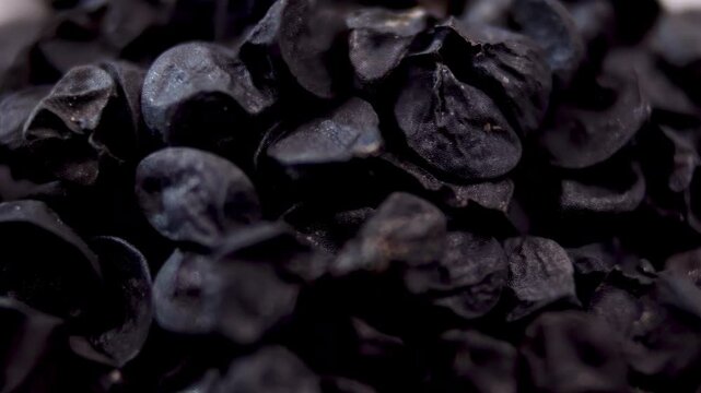 Extreme Macro Black onion seeds with a matte sheen and a characteristic wrinkled texture of the shell