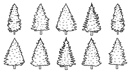 Pine Tree Doodles Illustration Hand Drawn Line Art Set Outline Collection.Vector Elements