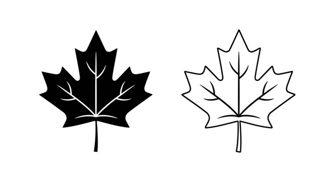 Maple leaf designs: black and white line art illustrations for graphic design Vector