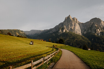 Tractor working on an alpine meadow during hay harvest with the majestic Sciliar mountain massif in the background © Sio Motion