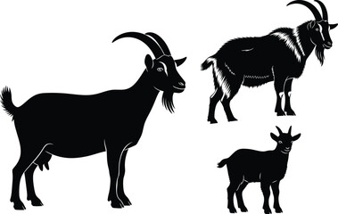 Obraz premium Goat Silhouette Set Farm Animal with Adult and Kid in Different Poses Black Vector Illustration Collection Isolated on White Background for Logo, Print and Craft Design