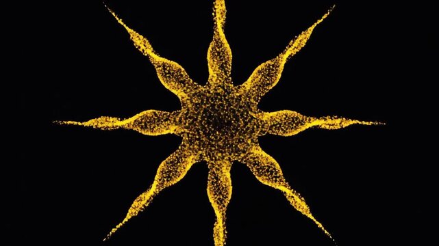 A vibrant yellow starfish illustration on a dark background