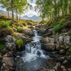 Fototapeta premium A serene forest stream flows gently over rocks