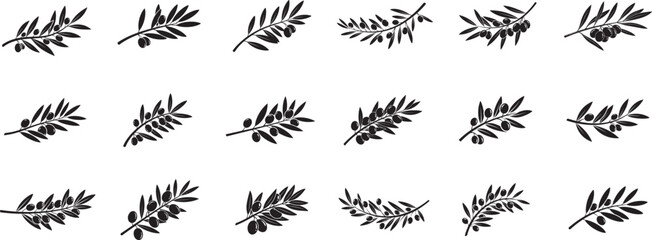 Featuring stylized black Olive Branch silhouette design,  Each Olive Branch displays a unique design olive branch vector art. © Madusanka