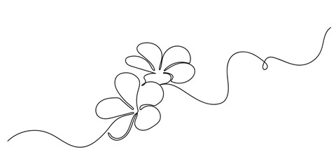 Continuous single line of flowers, Plumeria flowers Editable stroke.