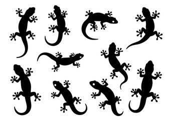 Obraz premium Silhouette Simple Gecko Lizard Reptile Animal Graphic Collection Set Design