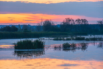 Naklejka premium sunset on the lake