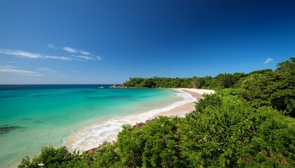Obraz premium a serene beach landscape featuring a lush forest and a captivating clear blue sky