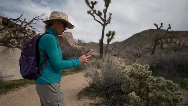 Mature woman enjoys hiking in Joshua Tree National Park, climbing over rocks and admiring the cholla cactus along the trail.