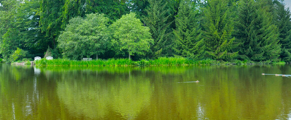 Tranquil Panoramic Lake Landscape with Lush Green Forest Reflection