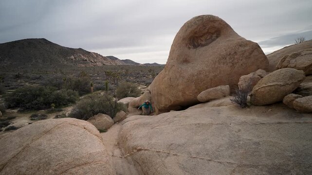 A mature woman hikes through Joshua Tree National Park, climbing rocks and observing the desert flora including cholla cactus.