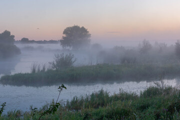 morning mist on the river