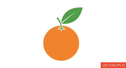 Orange fruit vector illustration with green leaf on white background