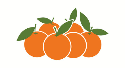 Fresh oranges with green leaves on white background vector illustration