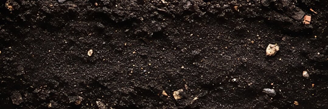 Beautifully Textured Garden Soil Background for Gardening Concepts and Organic Design Projects