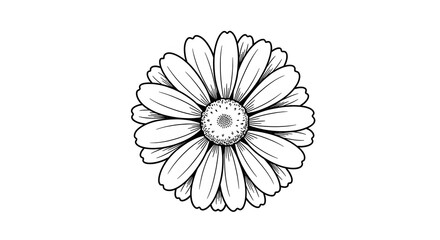 Fototapeta premium Detailed black and white daisy flower illustration, elegant line art graphic. Perfect for botanical themes, minimalist designs, nature projects, and vintage decorative elements