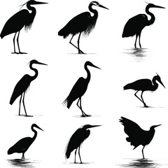 Set of silhouettes of herons.Create a sets of heron silhouettes vector art with white background