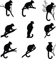 Vector silhouettes of animals. sets of lemur silhouette vector art with white background © MdMasud