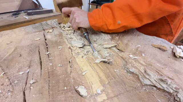 A carpenter in overalls chiselling a wooden slab in a carpentry workshop. A working man. Tools, chisel, mallet. Woodworking. Sawdust, wood chips. Real people. Lifestyle, Authentic, Candid

