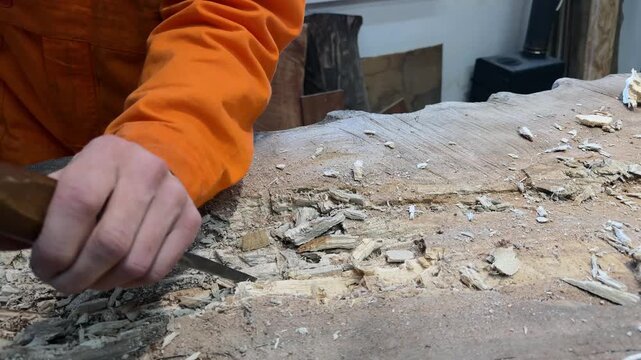 A carpenter in overalls chiselling a wooden slab in a woodworking shop. A person working. Tools, chisels, and gouges. Woodworking. Sawdust, wood chips. Real people. Lifestyle, Authentic, Candid