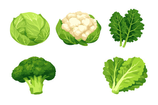 A collection of five different green vegetables including cabbage, cauliflower, kale, broccoli, and lettuce, presented as digital illustrations against a solid black background.