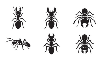 Six Ant Silhouettes: A Diverse Collection of Insect Icons in Black and White