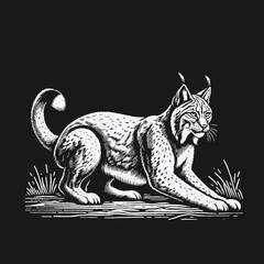 Fototapeta premium Detailed Lynx Illustration: A Study in Black and White.