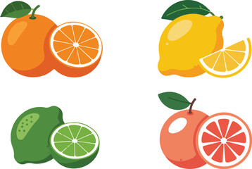 Title 1: Citrus Fruit Outline Icons  Orange, Lemon, Lime & Grapefruit Slices © MSTZOWRON