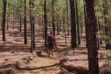 Man filming while hiking Canary pine forest