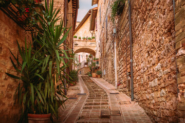 Fototapeta premium Golden hour panorama over Umbrian hills from Spello viewpoint