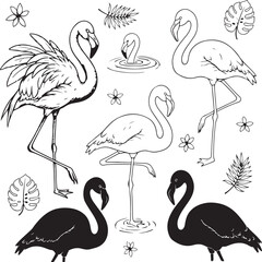Beautiful flamingo birds illustrations with flowers and leaves on transparent background