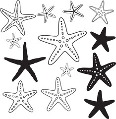 Collection of starfish illustrations in various styles on transparent background