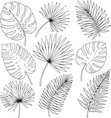 Collection of various tropical leaves illustrated in black and white on transparent background