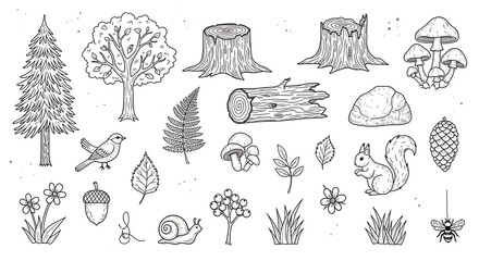 Detailed black and white nature illustration with trees, animals, plants, and forest elements