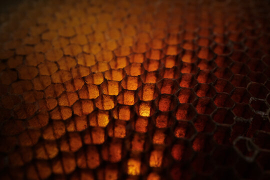 Warm Macro Texture of Animal Scales Abstract Background