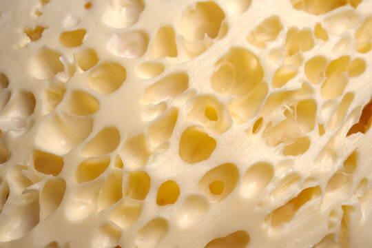 Macro swiss cheese texture