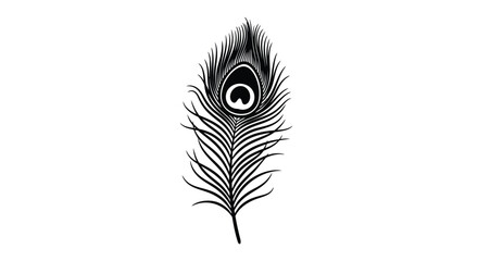 A detailed black and white illustration of a single peacock feather © Tm Studio