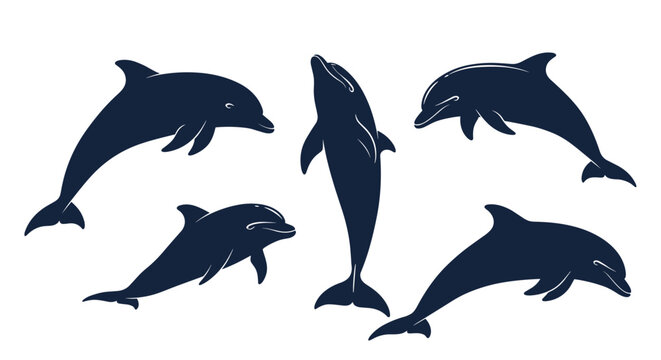 Set of dark blue dolphin silhouettes showing various swimming and jumping poses isolated on a white background for marine themes.